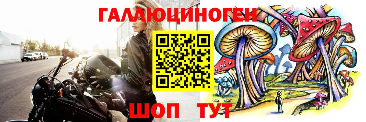 Псилоцибиновые грибы GOLDEN TEACHER  Галлюциногенные грибы мицелий  как найти закладки  Отрадный  Вход с VPN 