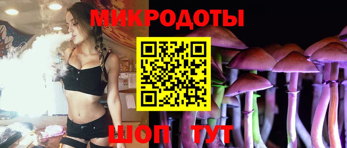 Псилоцибиновые грибы прущие грибы Отрадный