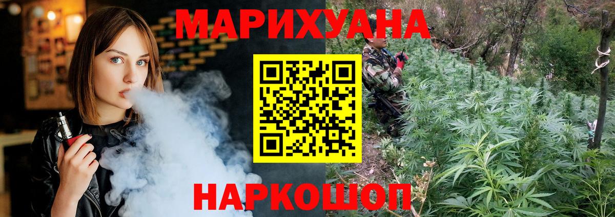 Конопля гибрид Отрадный